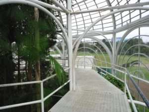 Foto da vista interna do Jardim Botânico de Curitiba