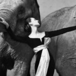 Richard Avedon aos 100: fotos de sedução