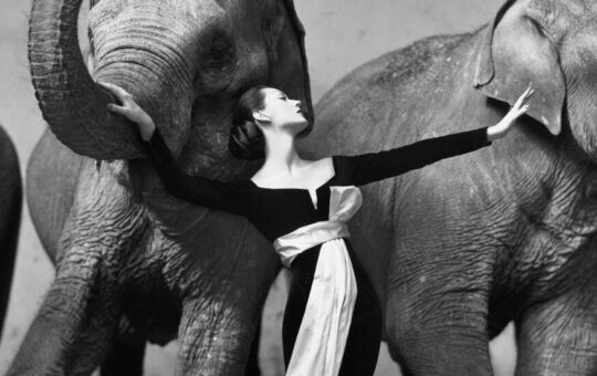 Richard Avedon aos 100: fotos de sedução